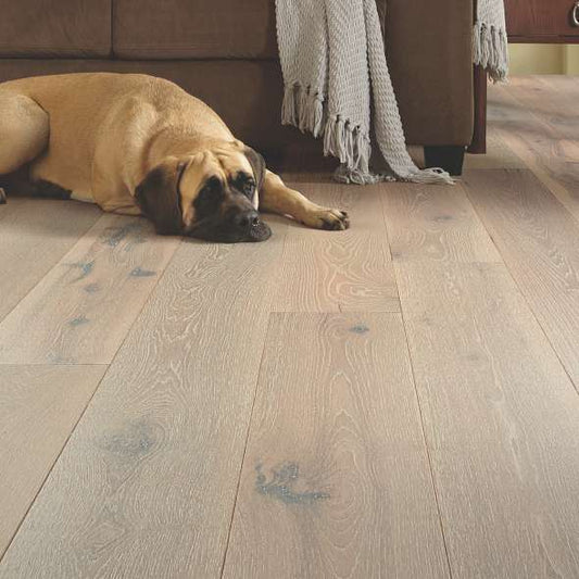 Looking Back at Flooring in 2022