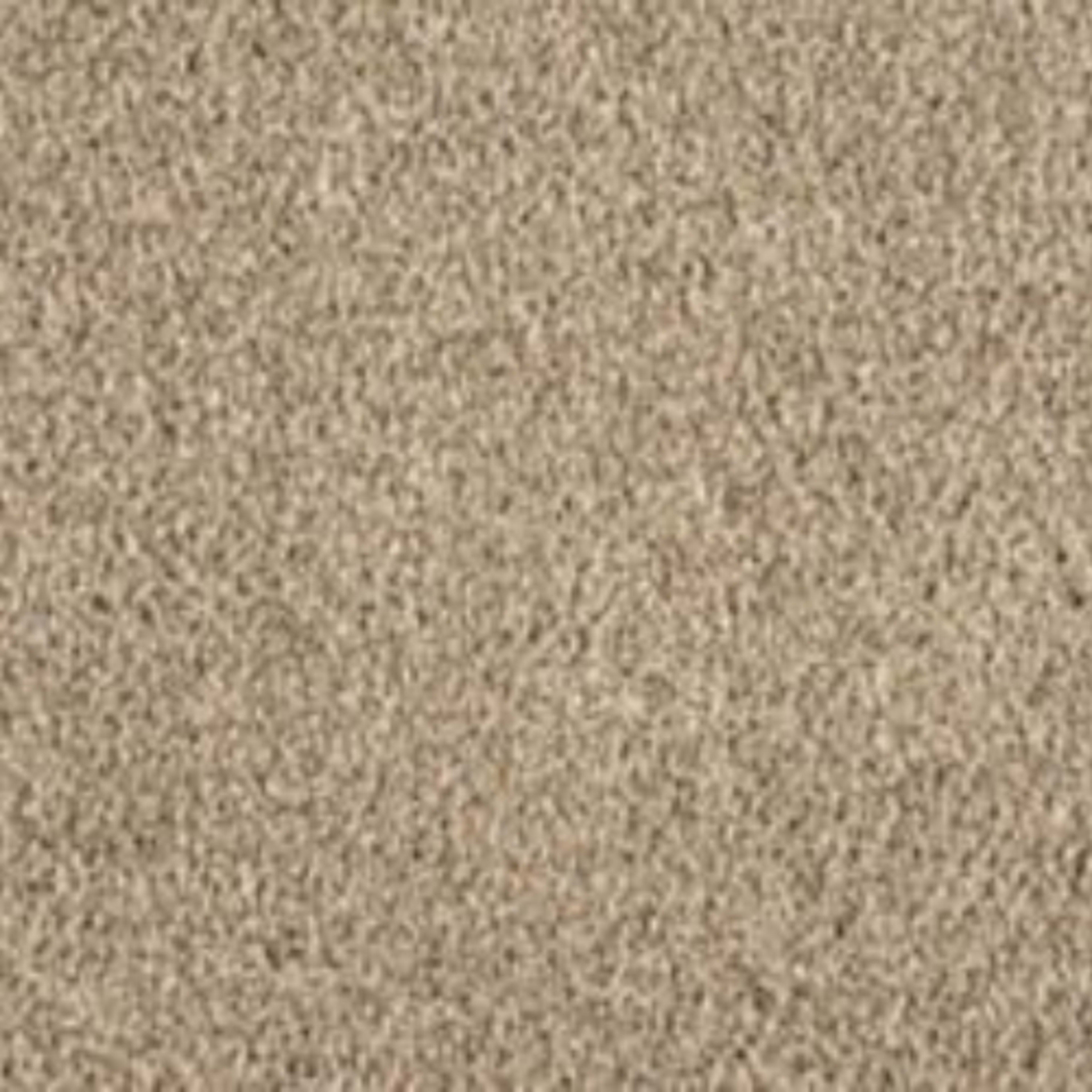 Noble Space in Shorescape Carpet