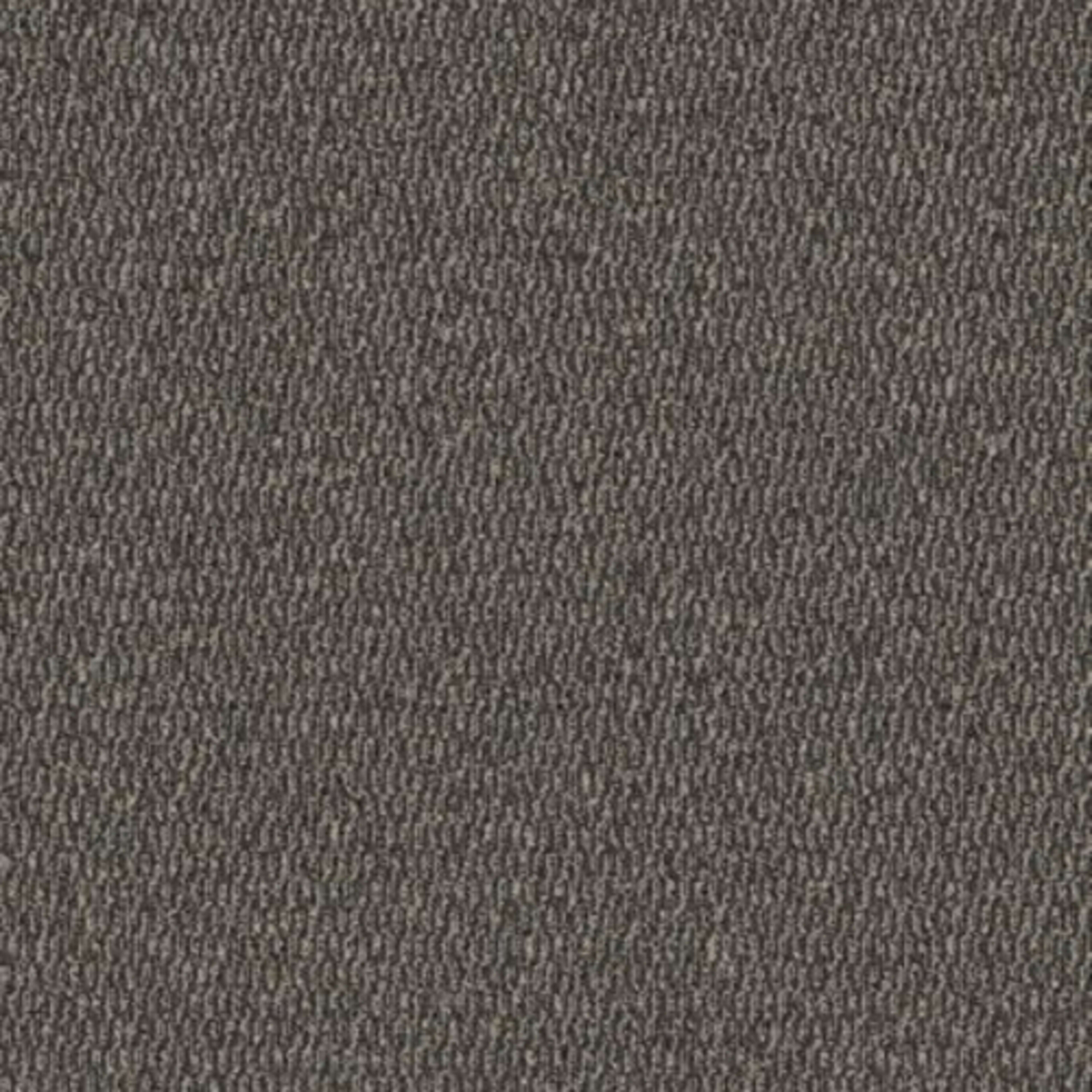 Traction II in Slate Grey Carpet