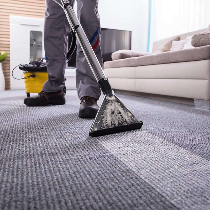 Carpet floor cleaning | Havertown Carpet